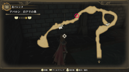 白アリの巣のマップ