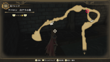 白アリの巣のマップ