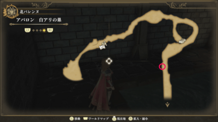 白アリの巣のマップ