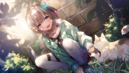 類は友を呼ぶの画像