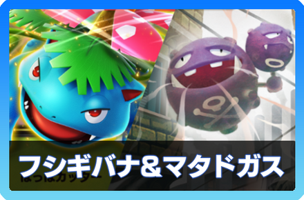 フシギバナex＆マタドガスデッキ