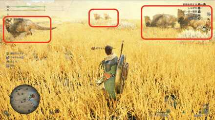 ダルトドン群れ