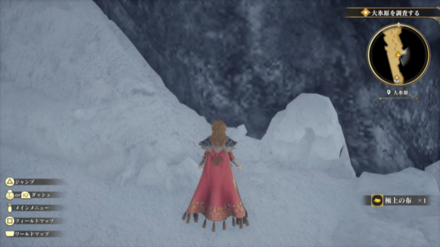 大氷原の場所の見た目