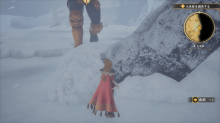 大氷原の場所の見た目