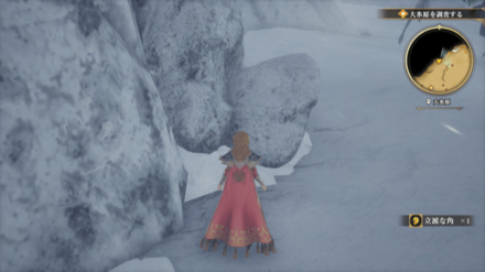 大氷原の場所の見た目