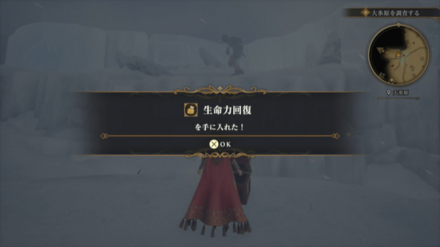 大氷原の場所の見た目