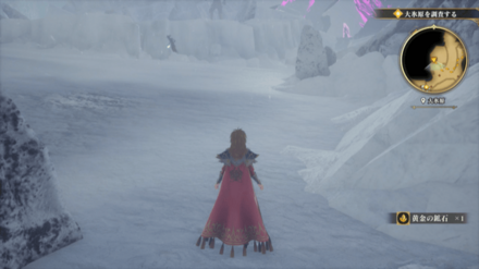 大氷原の場所の見た目