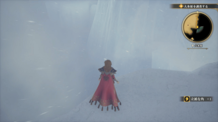 大氷原の場所の見た目