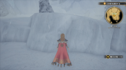 大氷原の場所の見た目