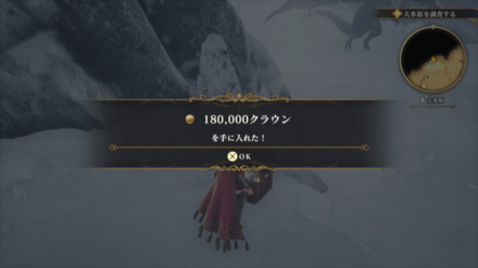 大氷原の場所の見た目