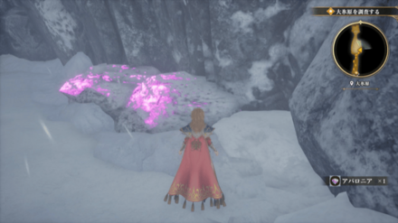 大氷原の場所の見た目