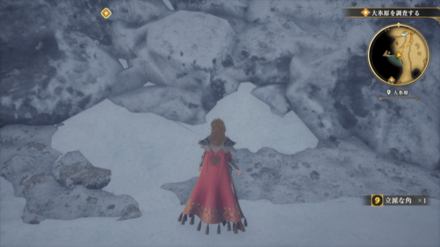 大氷原の場所の見た目