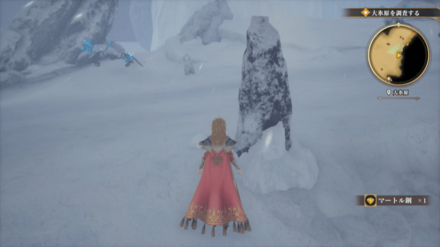 大氷原の場所の見た目