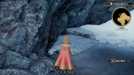 大氷原の場所の見た目