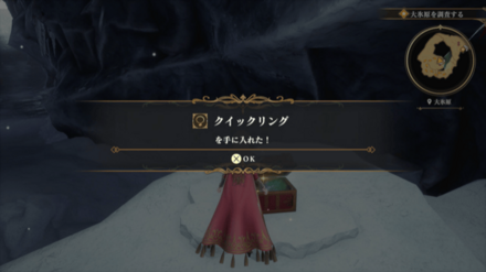 大氷原の場所の見た目