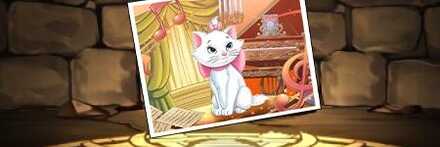 【11811】マリー【フォト】