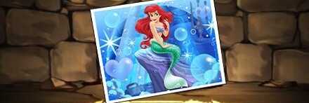 【11828】アリエル【フォト】