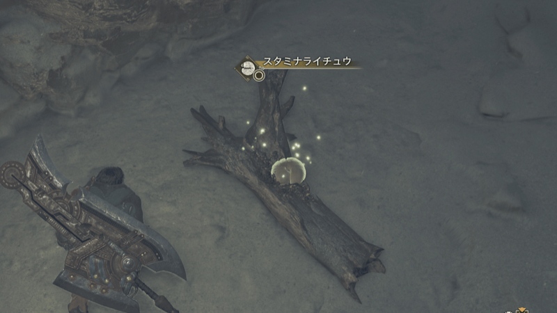 スタミナライチュウ