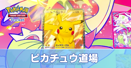ピカチュウ道場