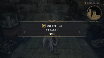 浮上島 B1の場所の見た目