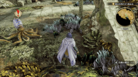 浮上島の場所の見た目