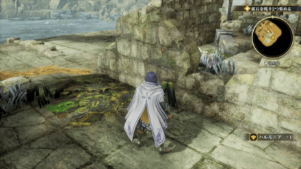 浮上島の場所の見た目