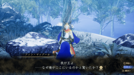 フィンマックール画像