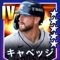 キャベッジ画像