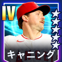 キャニング画像