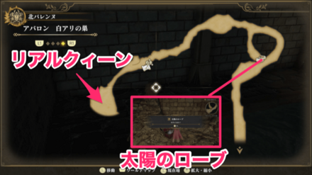 太陽のローブ