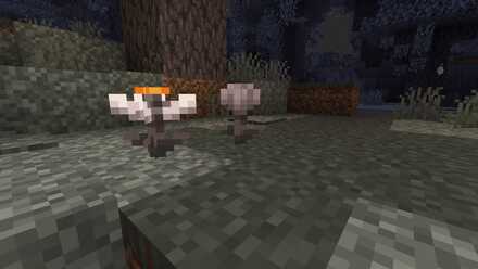 アイブロッサム