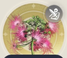 ねむり花の画像