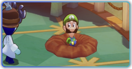 ゼニアレバー島P