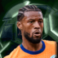 HPジョルジニオワイナルドゥム(11/11)画像