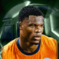 HPデンゼルドゥンフリース(11/11)画像