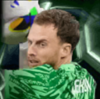 HPマルクフレッケン(11/11)画像