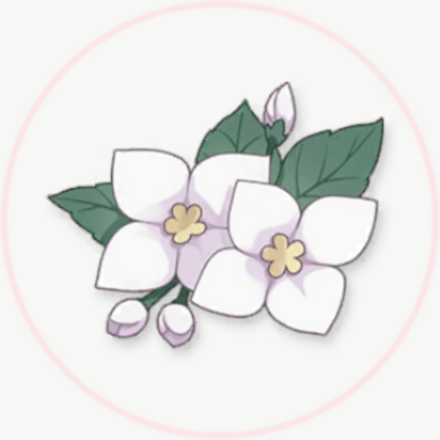 潔白なコサージュ画像