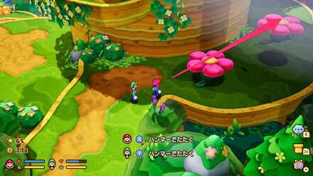 ピンクの花で進む