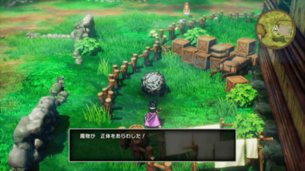 ばくだんいわ1画像