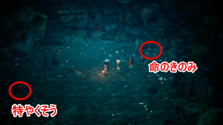 ノルドの洞窟井戸