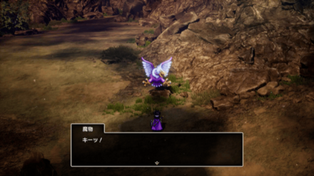 ごくらくちょう1画像