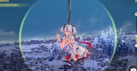 ツバキの写真を撮りながら進む