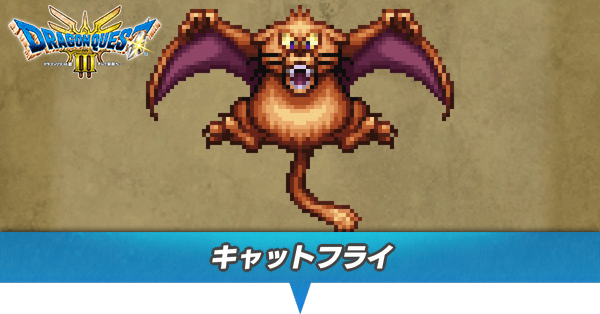 キャットフライのアイキャッチ