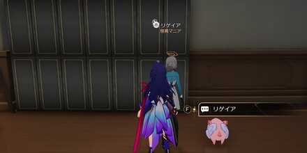 リゲイア見た目