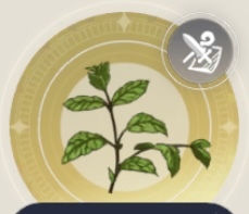 フレッシュミントの画像