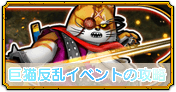 キャットイベントの攻略