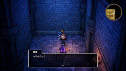 おどるほうせき2画像