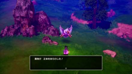 ごくらくちょう2画像