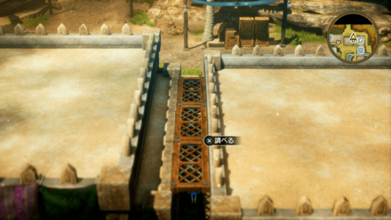 スタミナのたね