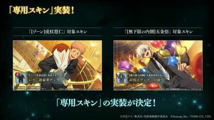 専用スキン